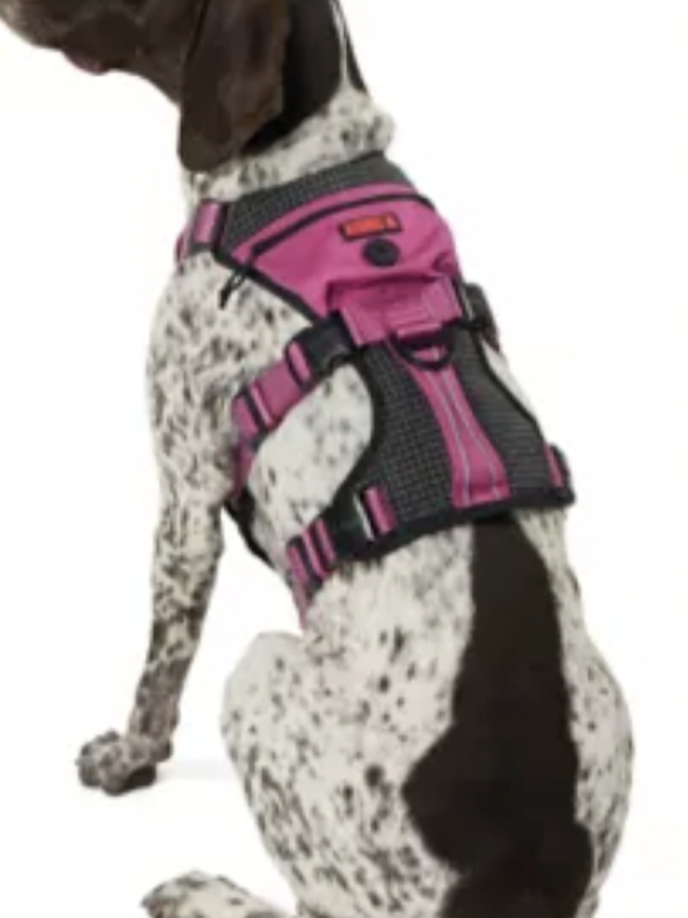 Medium KONG Pink Dog Harness - Durable Pet Accessory - Picture 3 of 8
